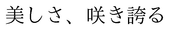 美しさ、咲き誇る 商願2026-109761の商標見本