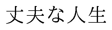 丈夫な人生 商願2026-110429の商標見本