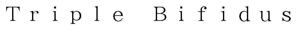 Bifidus Triple 商願2026-111163の商標見本