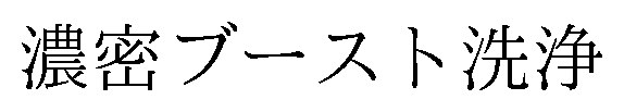 濃密ブースト洗浄 商願2026-113279の商標見本