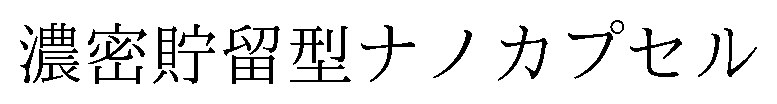 濃密貯留型ナノカプセル 商願2026-114893の商標見本