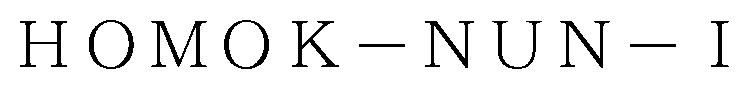 HOMOK-NUN-I 商願2026-118675の商標見本