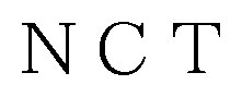 NCT 商願2026-119246の商標見本