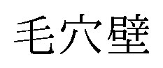 毛穴𤩹 商願2026-119436の商標見本