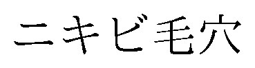 ニキビ毛穴 商願2026-120559の商標見本