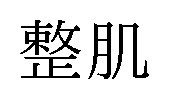 整肌 商願2026-120565の商標見本
